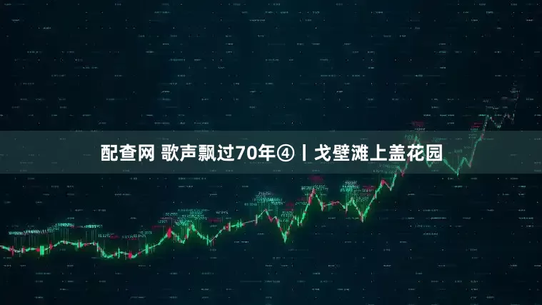 配查网 歌声飘过70年④丨戈壁滩上盖花园
