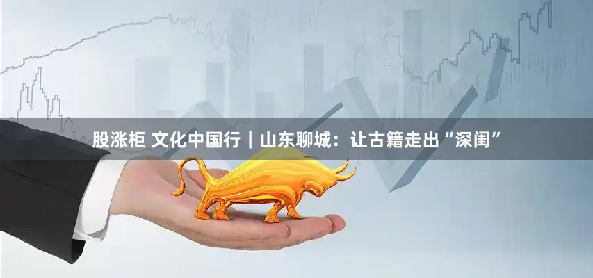 股涨柜 文化中国行｜山东聊城：让古籍走出“深闺”