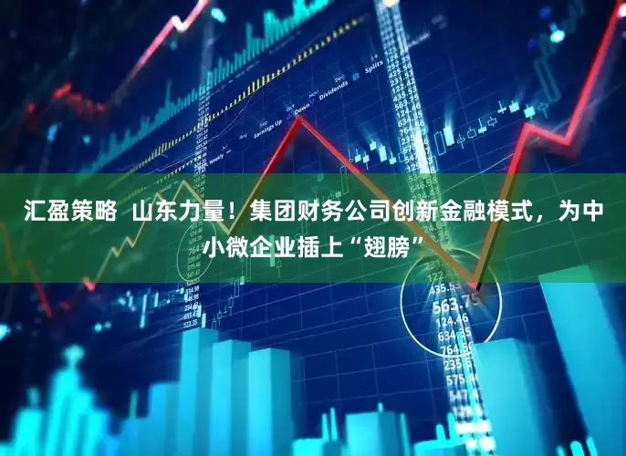 汇盈策略  山东力量！集团财务公司创新金融模式，为中小微企业插上“翅膀”