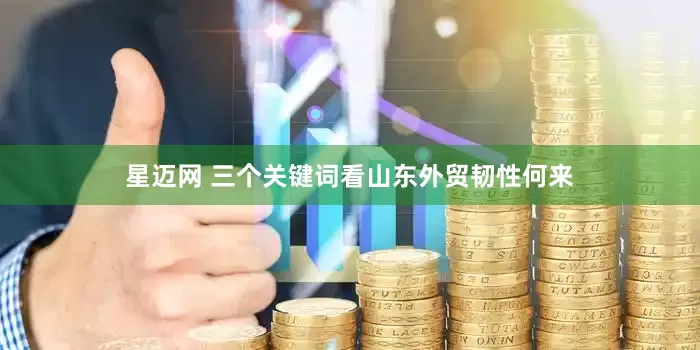星迈网 三个关键词看山东外贸韧性何来
